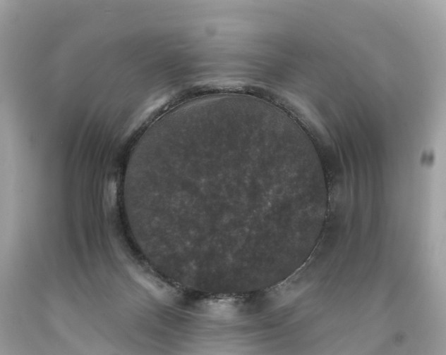 X0000091480120200709061847