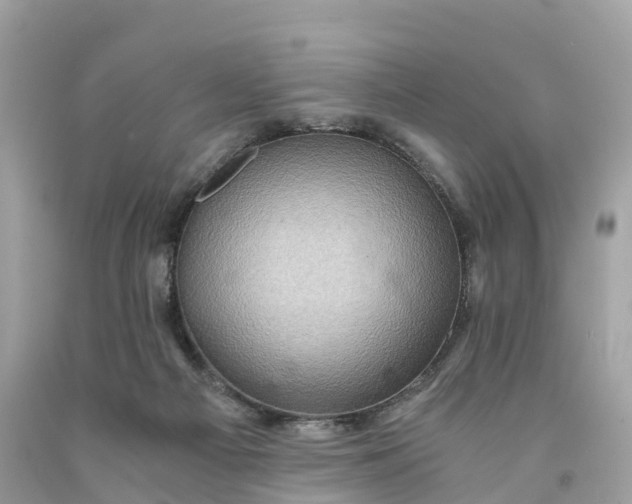 X0000091480121200709061847