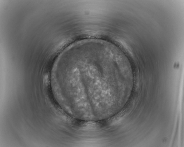 X0000091480123200709061847