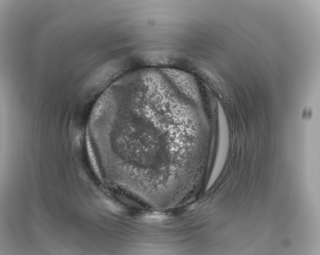 X0000091480125200709061847