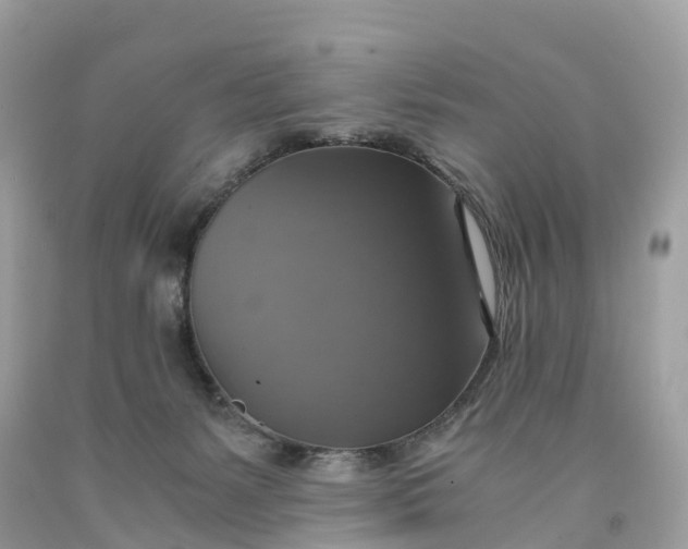 X0000091480127200709061847