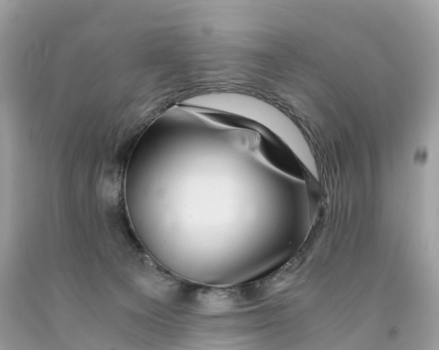 X0000091480129200709061847