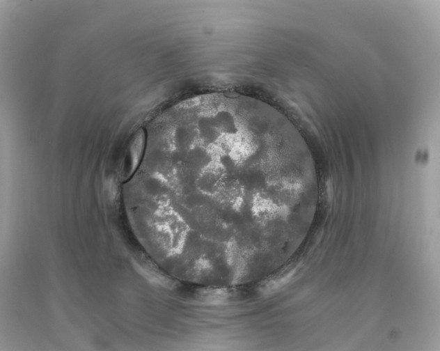 X0000091480131200709061847