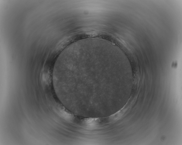 X0000091480136200709061847