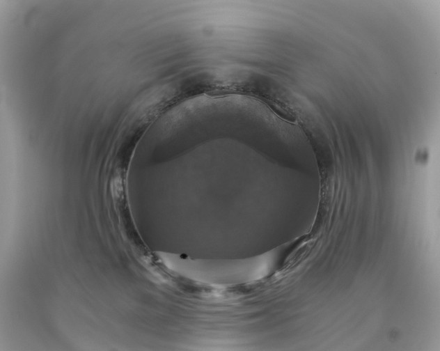 X0000091480137200709061847