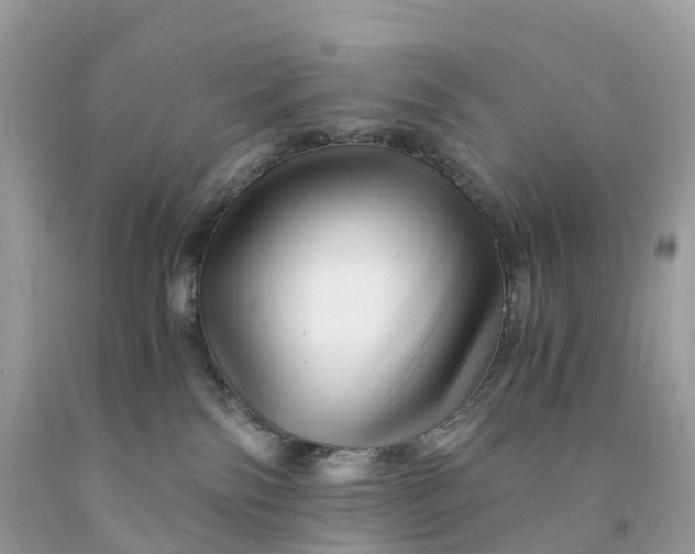 X0000091480138200709061847