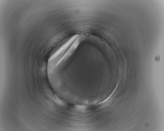 X0000091480144200709061847