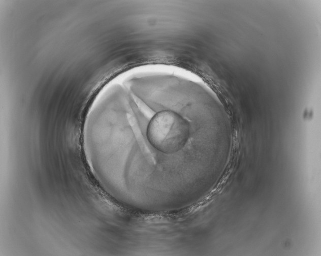 X0000091480146200709061847