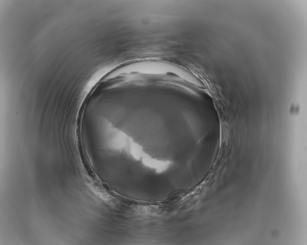 X0000091480147200709061847