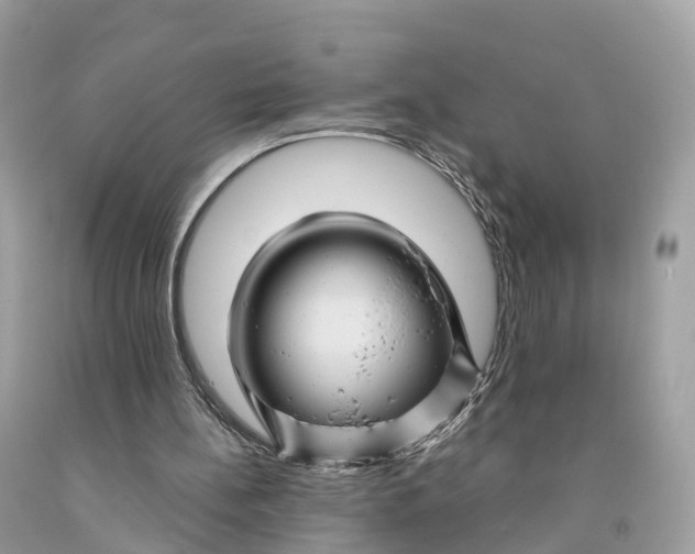 X0000091480148200709061847