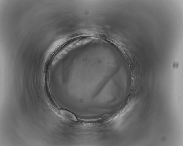 X0000091480149200709061847