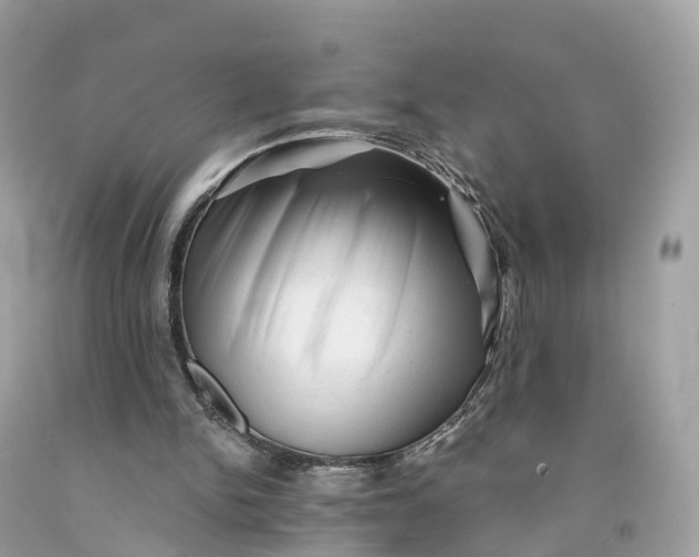 X0000091480150200709061847