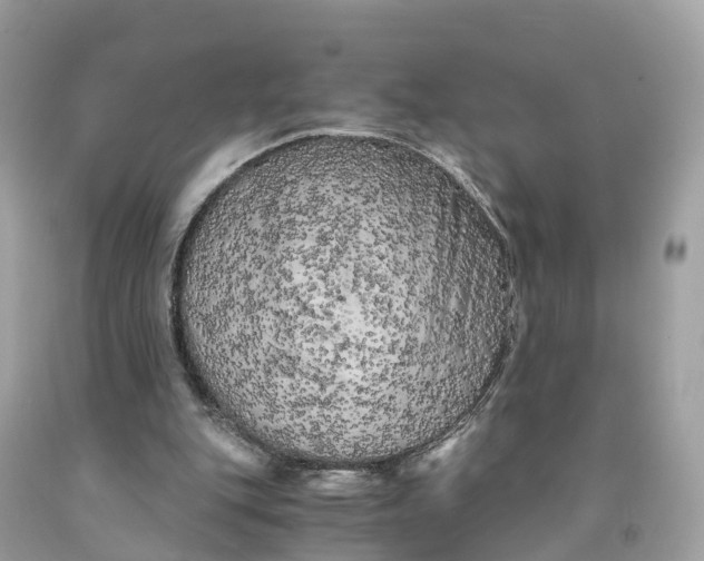 X0000091480151200709061847