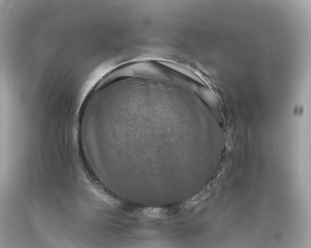 X0000091480152200709061847