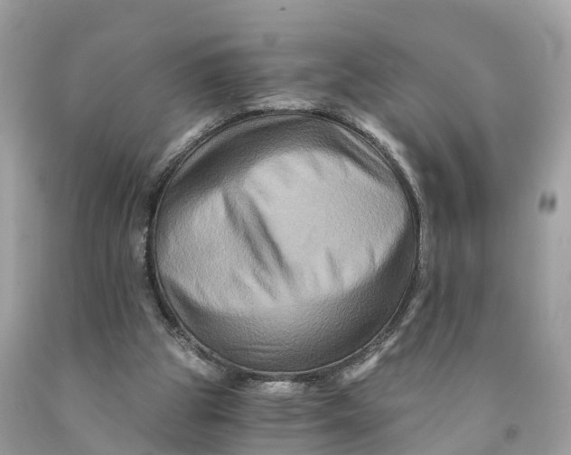 X0000091480153200709061847