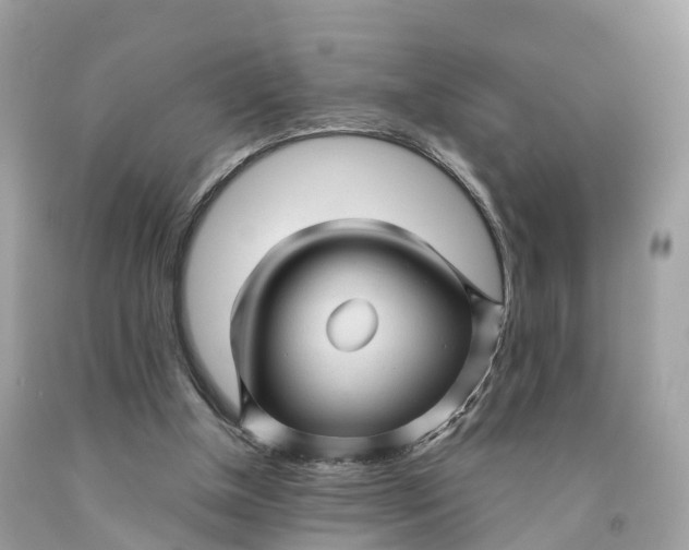 X0000091480154200709061847