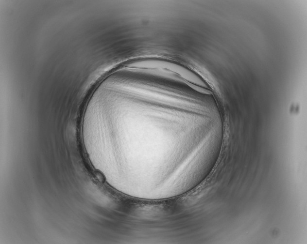 X0000091480155200709061847