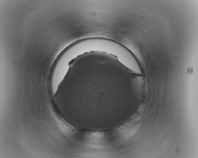 X0000091480156200709061847