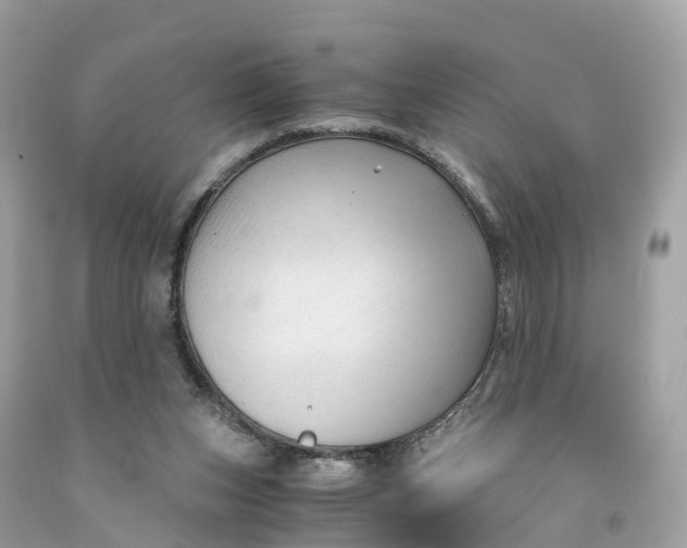 X0000091480159200709061847