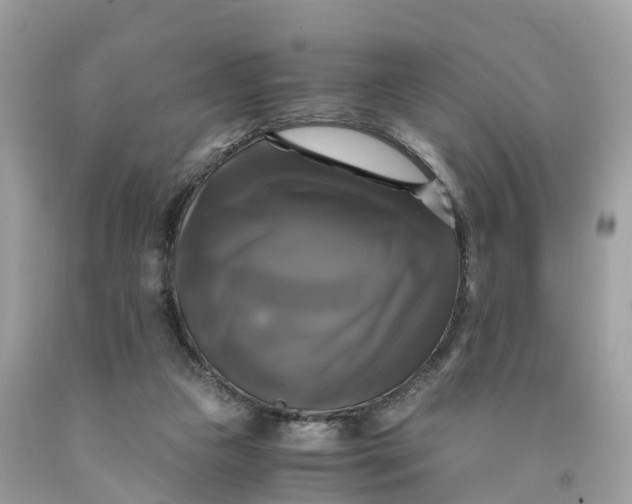 X0000091480161200709061847