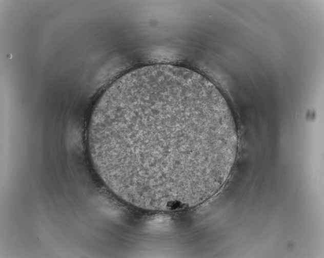 X0000091480162200709061847