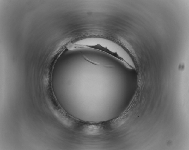 X0000091480163200709061847