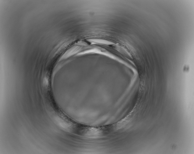 X0000091480166200709061847