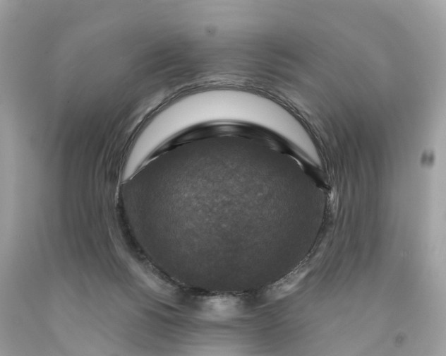 X0000091480168200709061847