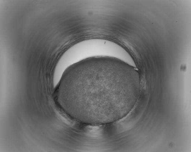 X0000091480170200709061847