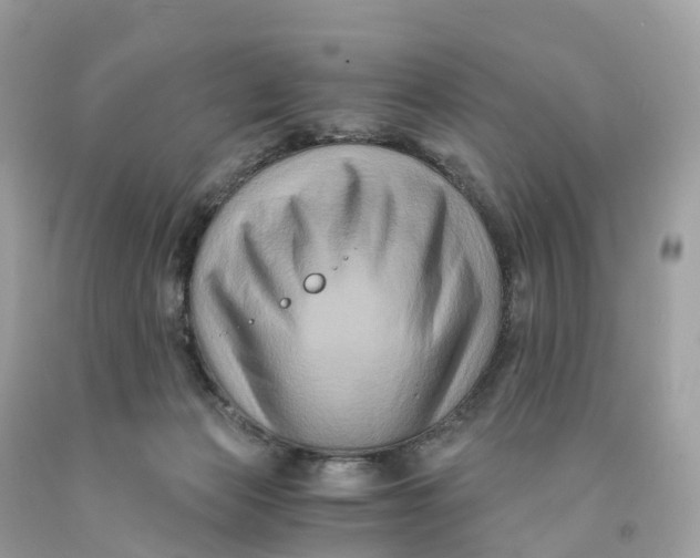 X0000091480173200709061847