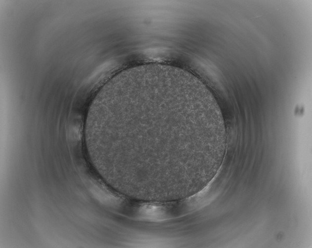 X0000091480174200709061847