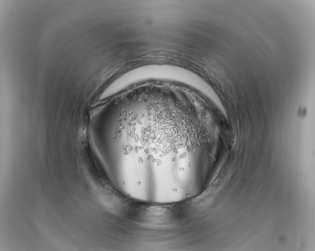 X0000091480176200709061847