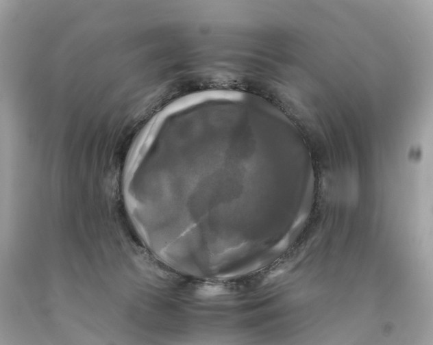 X0000091480177200709061847