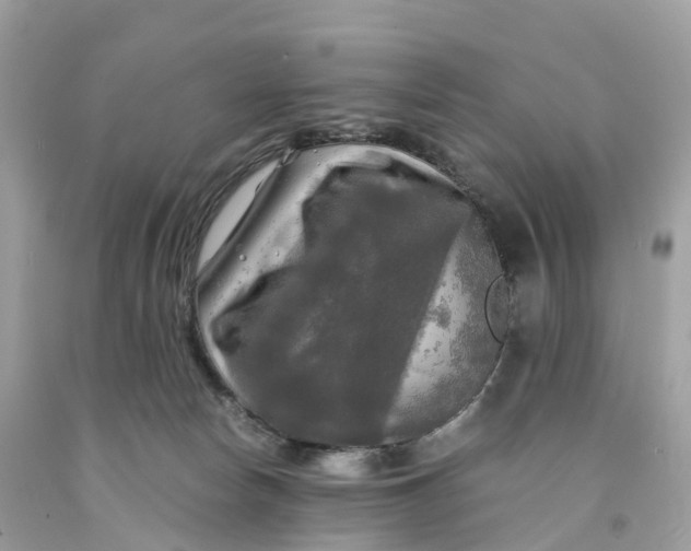 X0000091480178200709061847