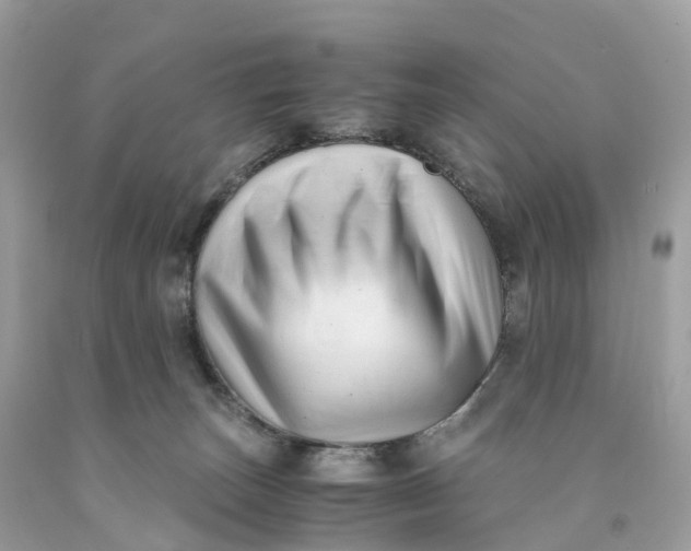 X0000091480179200709061847