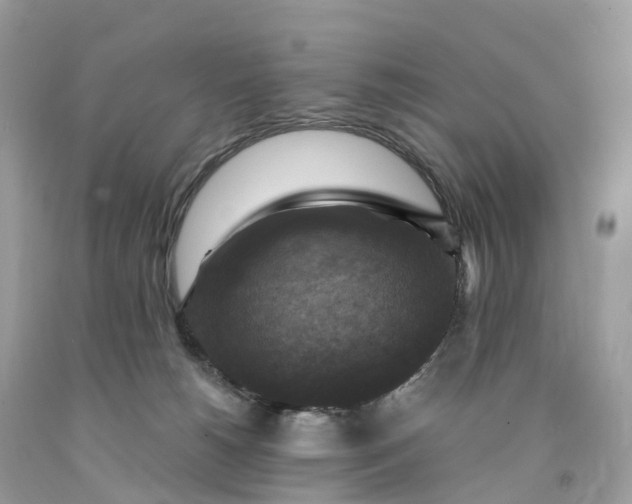 X0000091480180200709061847