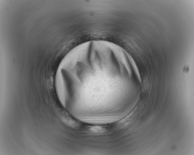 X0000091480183200709061847