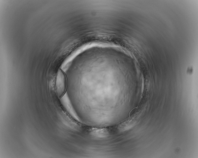 X0000091480185200709061847