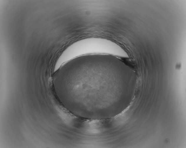 X0000091480186200709061847