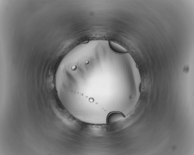 X0000091480187200709061847