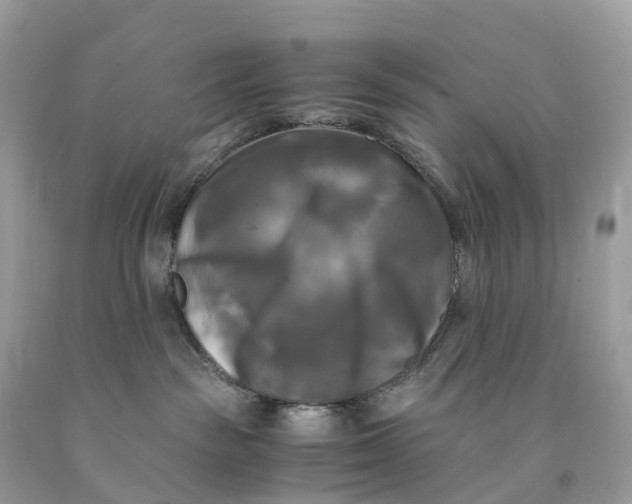 X0000091480189200709061847