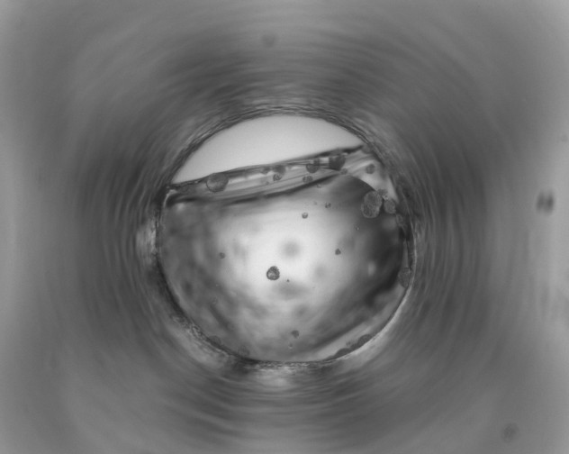 X0000091480190200709061847