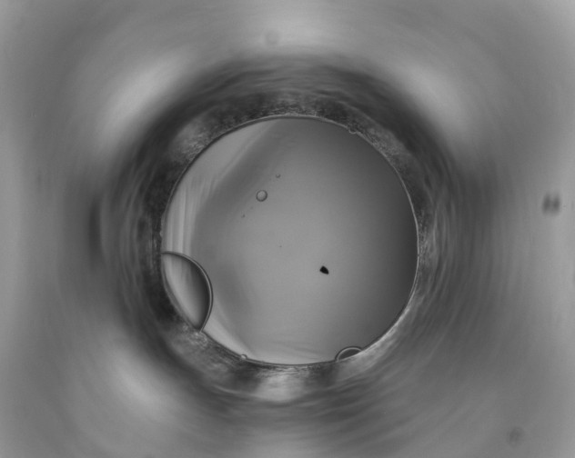 X0000091480191200709061847