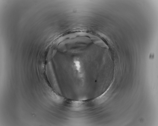 X0000091480192200709061847