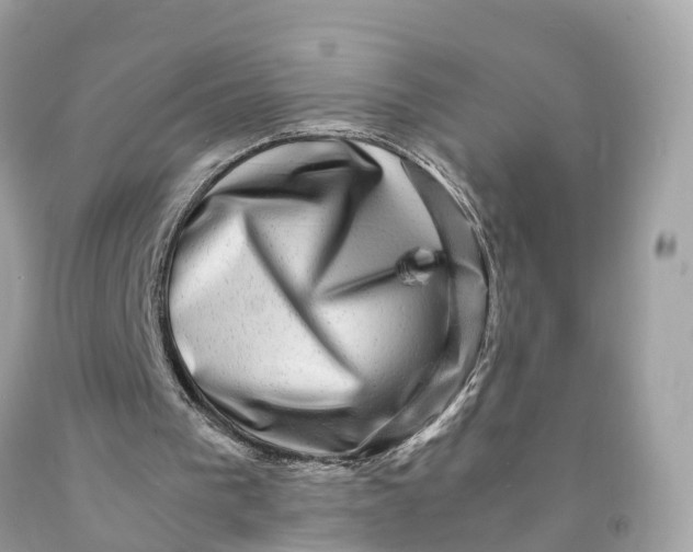 X0000091480193200709061846