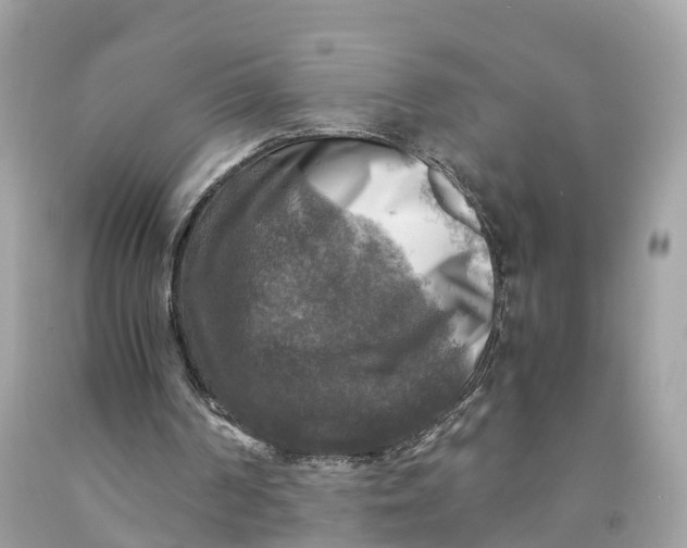 X0000091480194200709061846