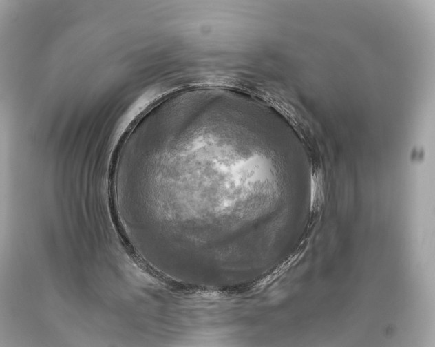 X0000091480195200709061846