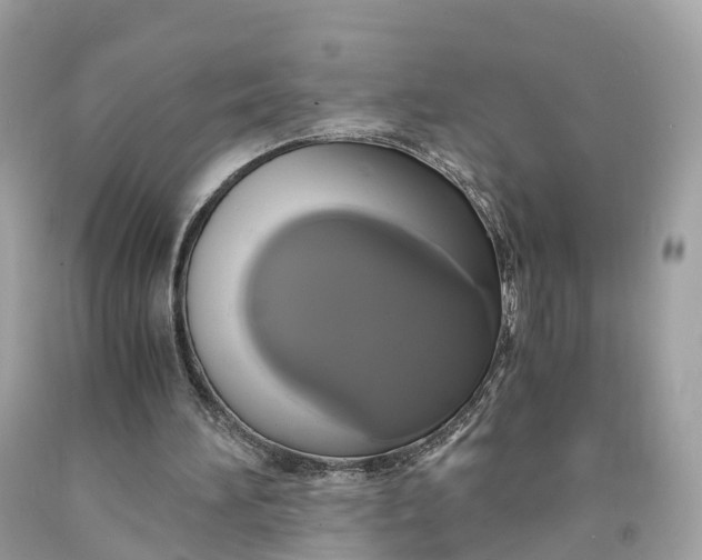 X0000091480196200709061846