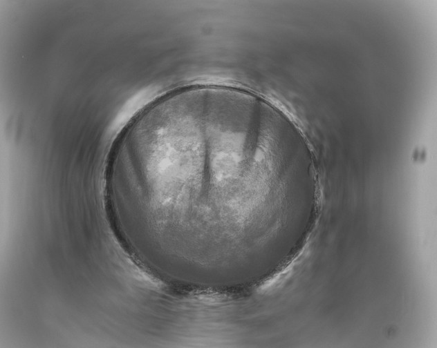 X0000091480199200709061846