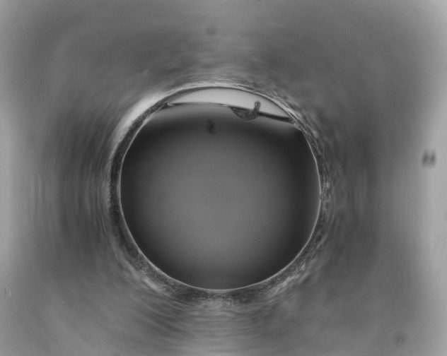 X0000091480200200709061846